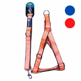 PetShow - Arnés y Correa Estilo Moderno - Talla M